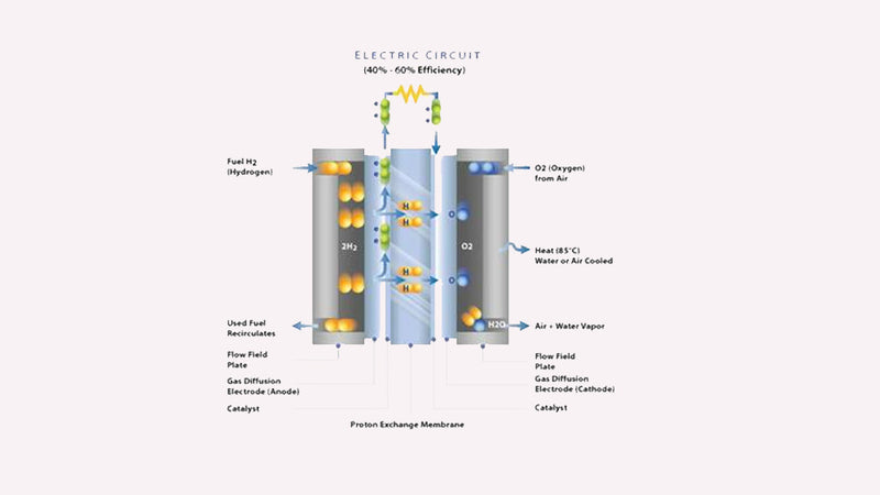 Everything you wanted to know about Fuel Cells, but were afraid to ask
