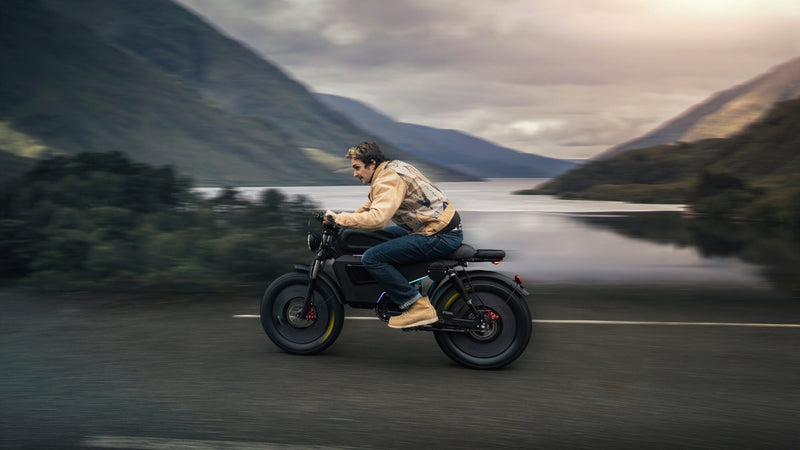 Wulf 3000 eBike - Image 27