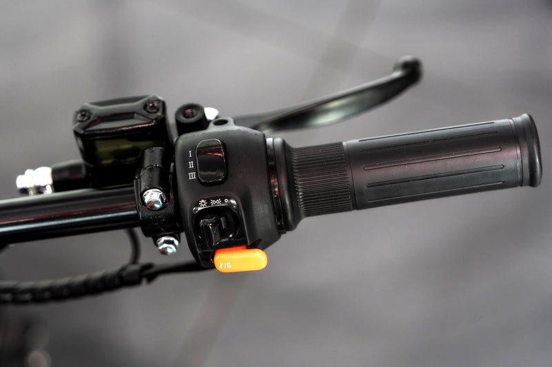 Wulf 500 eBike - Image 32