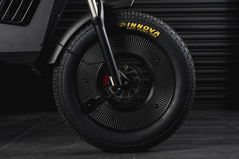 Wulf 3000 eBike - Image 11